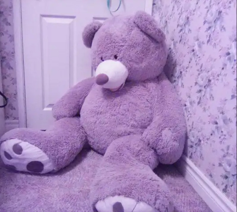 Super cuddly bear stuffy! Toys & Games Prince Kijiji