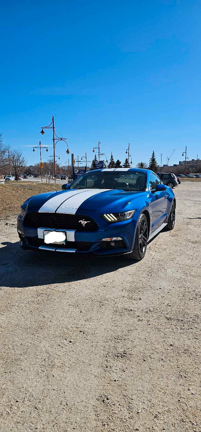 2017 For Mustang Premium EcoBoost with Roush Performance Exhaust