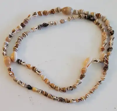 Natural Seashell Necklace, View more