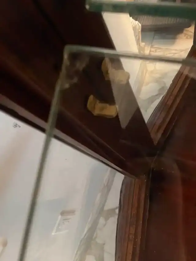 Antique Mahogany China Cabinet – Queen Anne Style w/ Brass Key in Arts & Collectibles in City of Toronto - Image 8