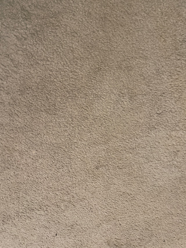 FREE carpet piece Free Stuff Ottawa Kijiji