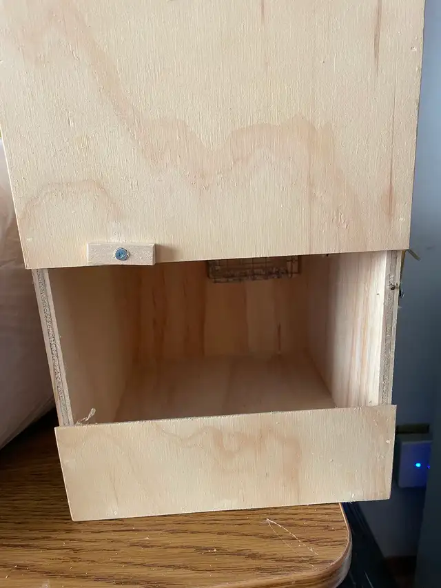 Nestbox in Birds for Rehoming in Calgary - Image 4