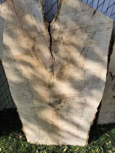 Live Edge Slabs BLOW OUT SALE!, View more