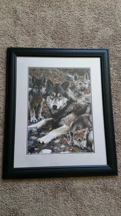 Wolf Picture, View more