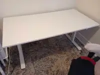 White Adjustable Desk