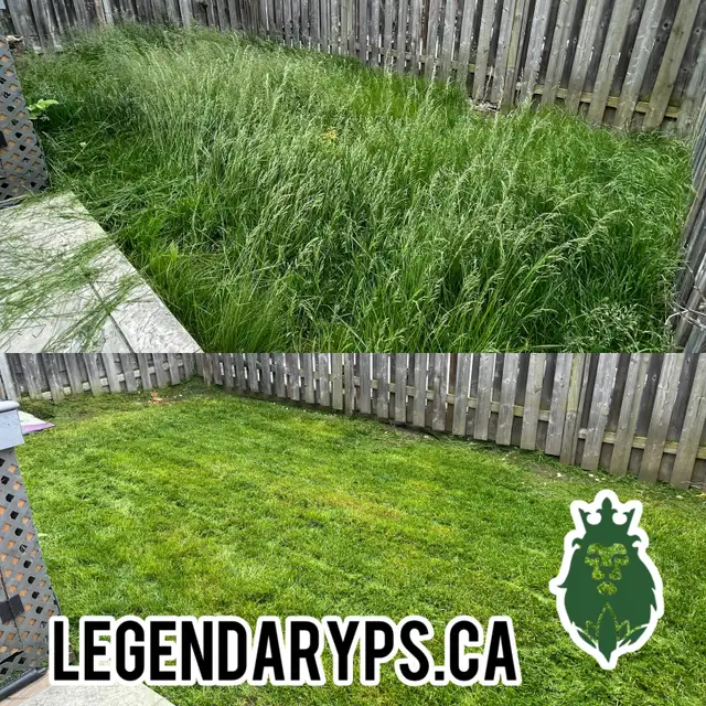 Grass Cutting Starting as low as $40 Weekly62865710227201123