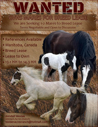 WANTED: GVHS Mares - Breed Lease