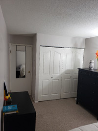 Spare room to rent for short-term