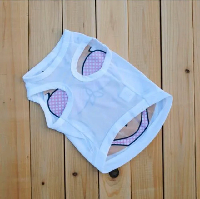 Small Dog Bikini T-Shirt   - New! in Accessories in Windsor Region - Image 2