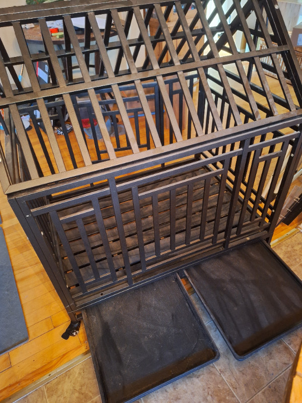 Cage (H:46 x L:48) dans Accessoires  à Ville de Montréal - Image 4
