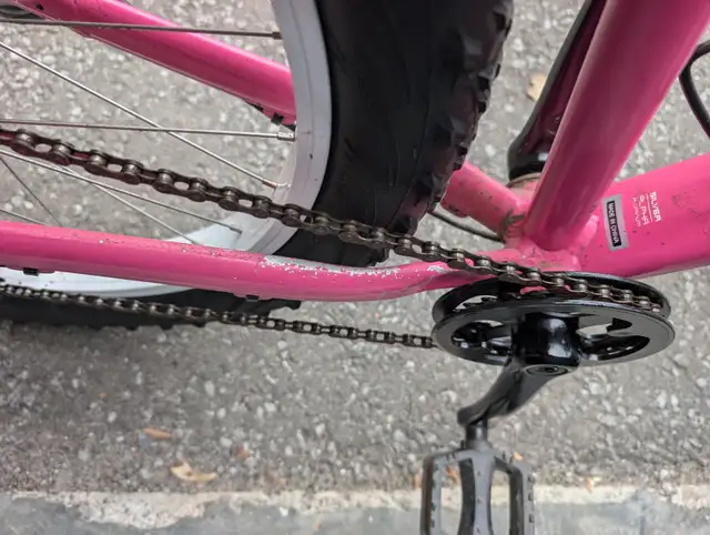 Trek Roscoe 24" Kids Youth Mountain Bike Disc Brakes Girls in Mountain in City of Toronto - Image 8