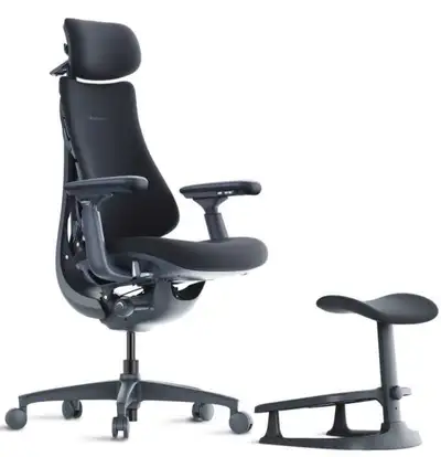 Libernovo Omni Ergonomic Chair, View more