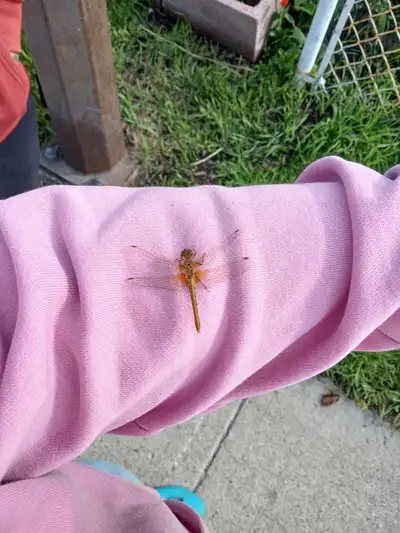 in need of help with food and medication money, View more