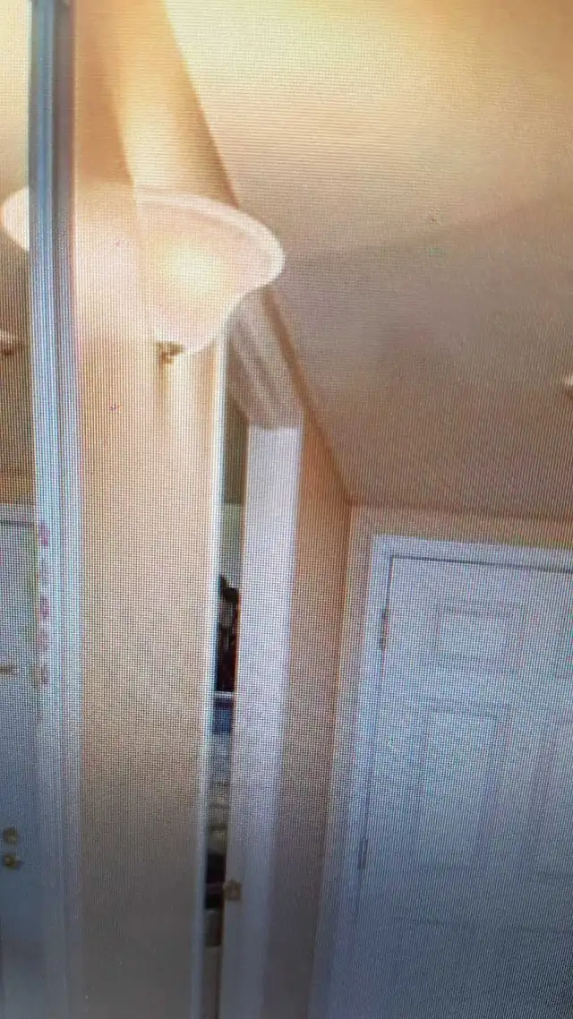 Interior Light fixture in Electrical in City of Montréal - Image 3