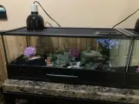 Two,  Easy Clean Reptile Tanks