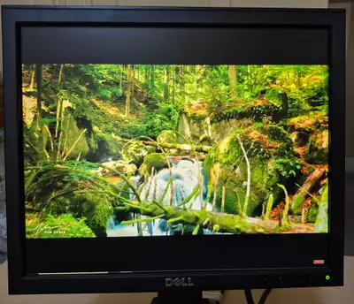 *** If you see the ad, then the item is available *** Price listed OBO DELL 17" LCD Flat Panel Monit...