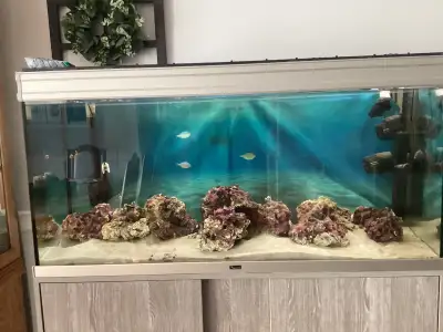 Make an offer 80 gallon aquarium with all accessories., View more