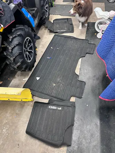New f150 floor mats (all weather) that I took out of my new 2025 f150. Fits multiple years. Fords ve...