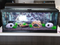 20 gallon long aquarium with glass lid and plant light.