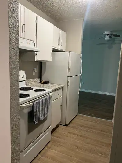 rent apartment