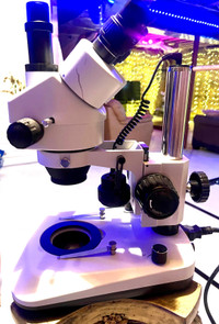 Binocular microscope 