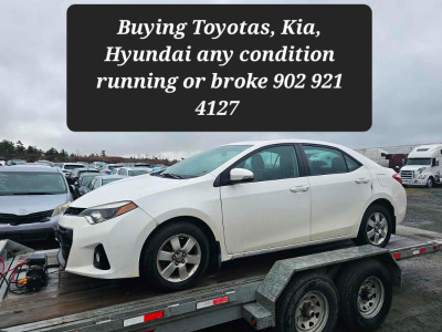 Buying Toyotas, Kia, Hyundai any condition, running or broke