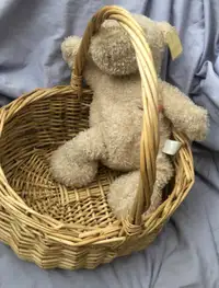 Bear 'N' Basket