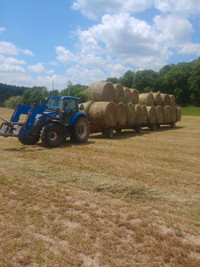 Dry First Cut Hay, 4x5 Round Bales
