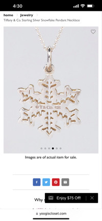 Authentic Tiffany snowflake plus chain 