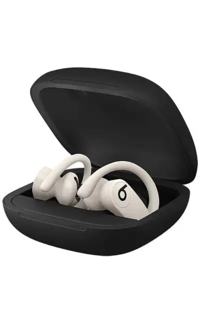 Powerbeats Beats Pro earbuds , View more