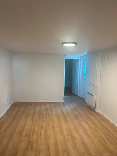 Appartement demi sous sol 4 1/2