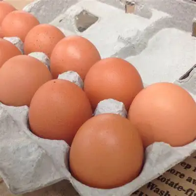Fresh eggs, Moncton & Cocagne, View more