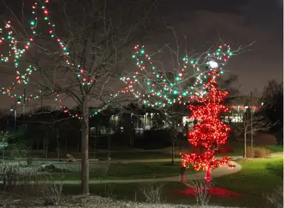 Your To Go Massage For Refeshment, View more