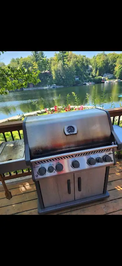 Napoleon 5 Burner BBQ + Side Burners – Premium Grill ($2000 New), View more