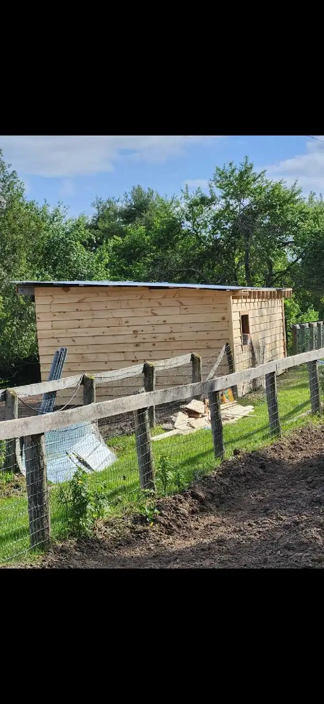 handyman for hire  in Construction & Trades in Peterborough - Image 10