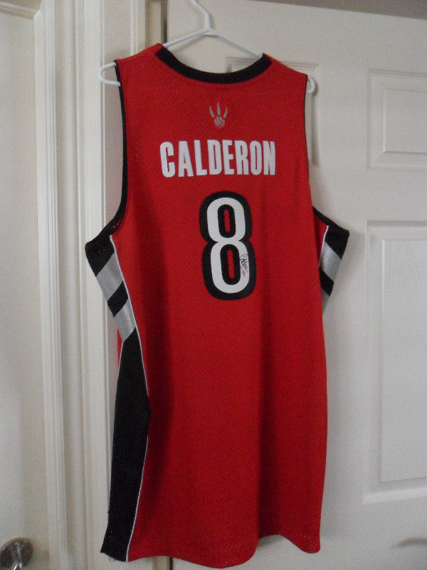 Jose calderon sales raptors jersey