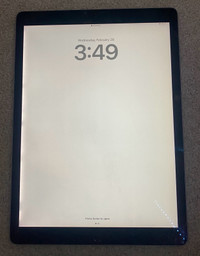 Apple ipad pro 12.9 inch