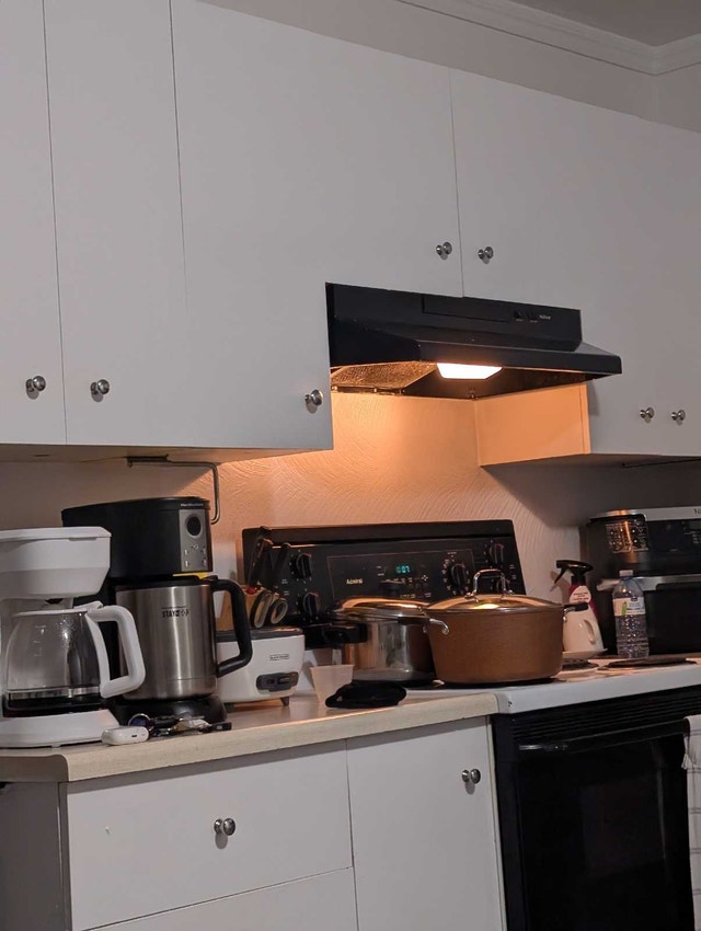 4955 Bd Marie-Victorin — photo 1