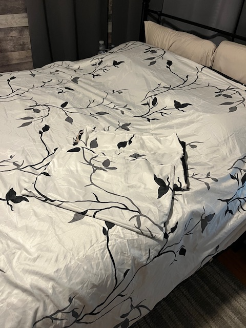 Reversible Duvet Cover - Queen Set in Bedding in Ottawa - Image 2