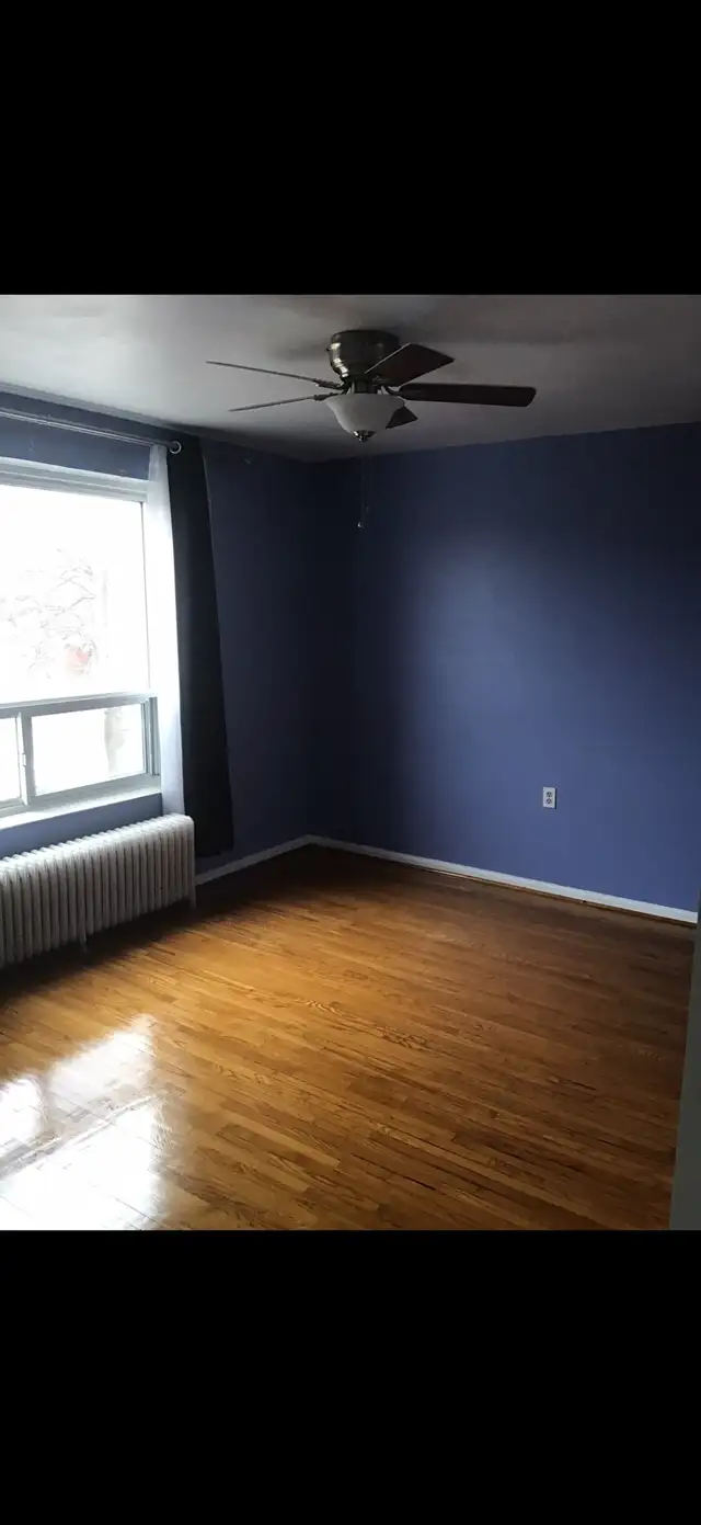 A present for Rent459276714393610243
