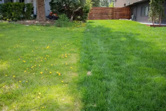 Professional Weed Control & Fertilizer62863234683522121