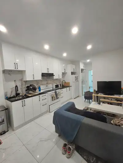 4 1/2 appartement Rénové à louer Plateau-Mont-Royal