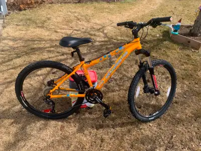 Ladies Mountain Bike, View more