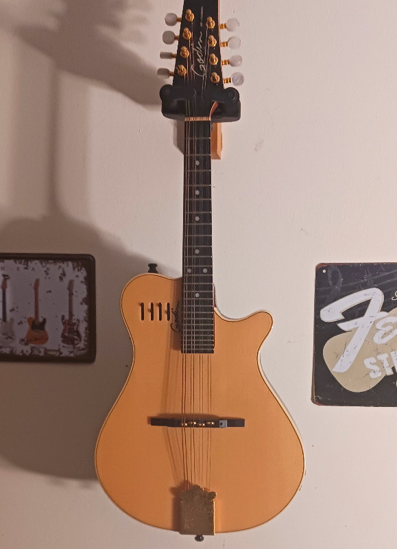 Godin A8 Electric Acoustic Mandolin in Guitars in Belleville
