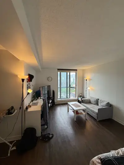 Studio 1 bath apartment Lease transfer