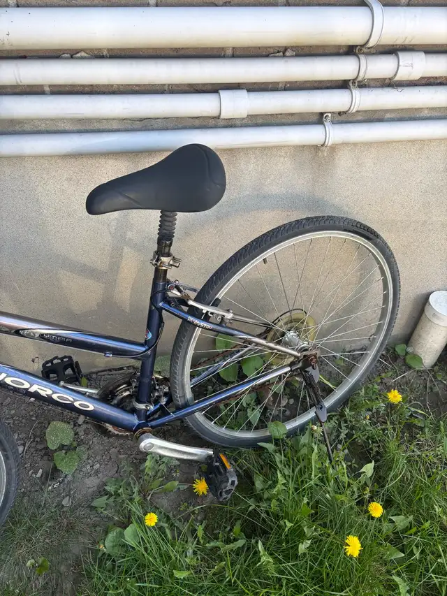 Vélo femme Norco Olympia in Cruiser, Commuter & Hybrid in Laval / North Shore - Image 4
