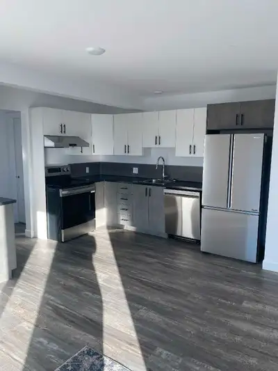 Logement moderne neuf à louer