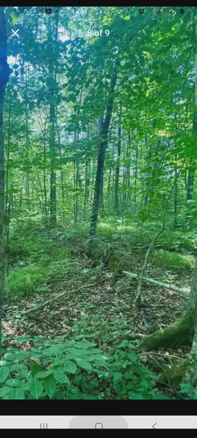 Stunning 21 acre building lot for sale in Land for Sale in Ottawa - Image 8