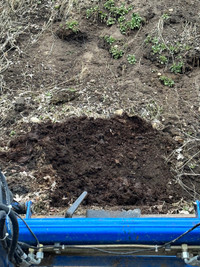 AGED COMPOST/MANURE