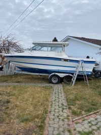 1988 Bayliner Trophy 2160